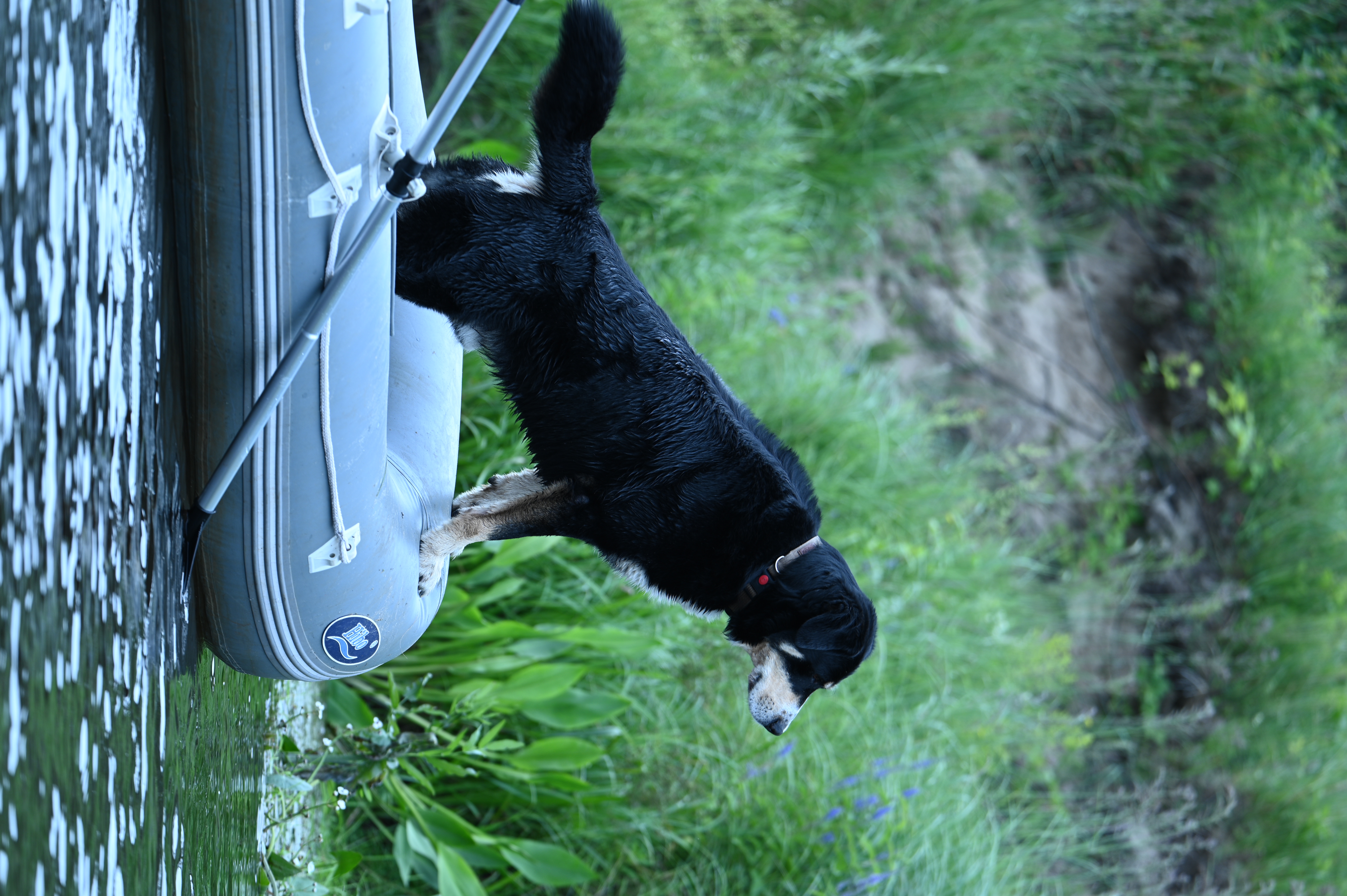 2025/07/09-14 - trip/DSC_0227.JPG